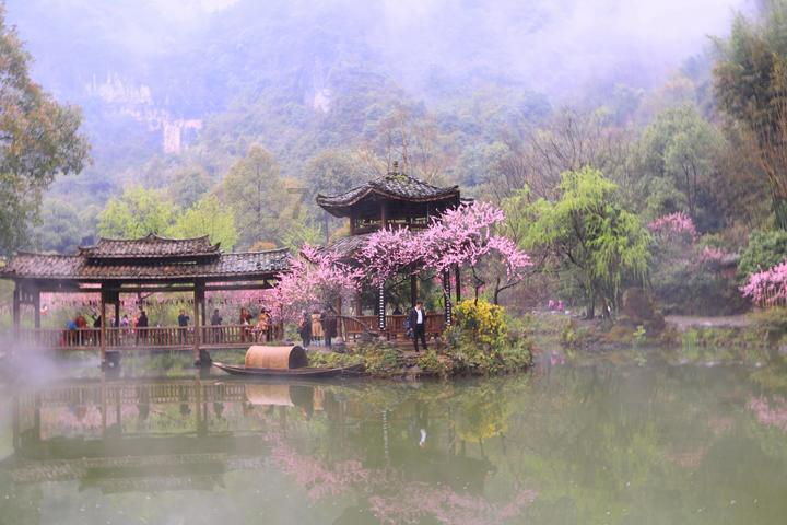 春雨直播app