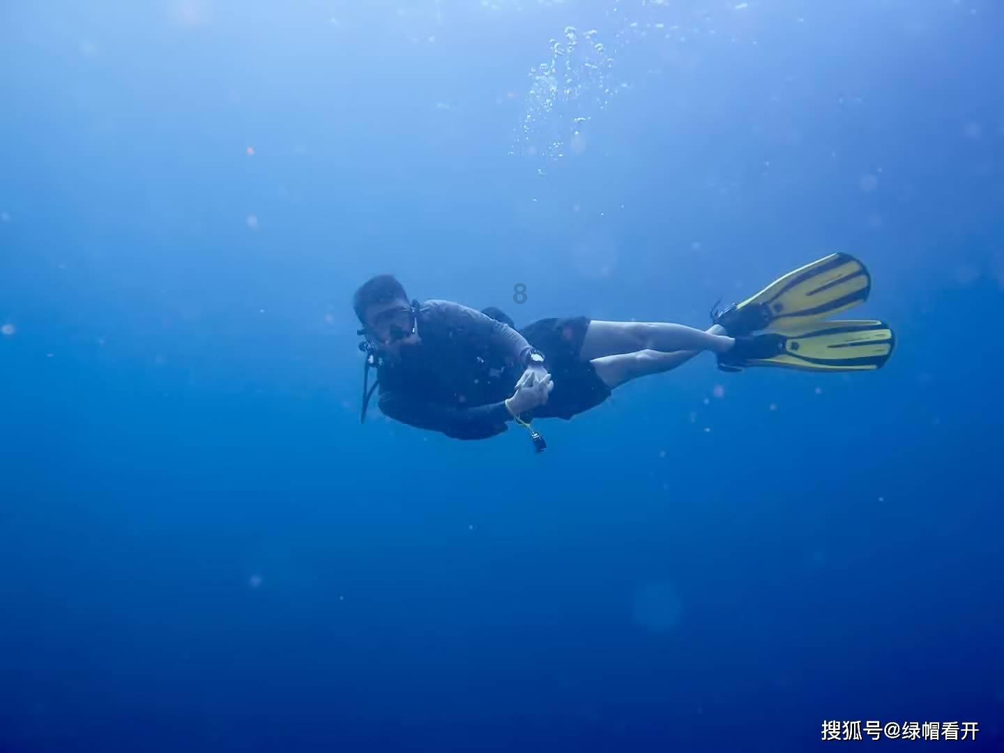 虫虫助手下载